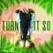 Turn It So (feat. Jupitar) artwork