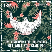 Get What You Came For (feat. BullySongs) [Club Mix] artwork