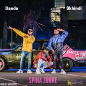 Spina Zonke (feat. Dando) artwork