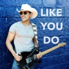 Like You Do - Single