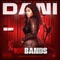 100 Bands (feat. Big Gipp) - Dani lyrics