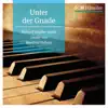 Unter der Gnade (Manfred Siebald Meets Richard Souther) album lyrics, reviews, download