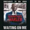 Waiting on Me (feat. Swizz Beatz, YG, BIA & Giggs) - Single album lyrics, reviews, download