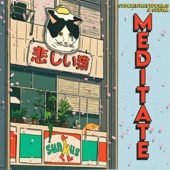 Meditate (feat. Suuna) artwork