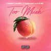 Too Much (feat. Lil Bri & NorhLynn) - Single album lyrics, reviews, download