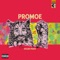 Vegan Pussy - Promoe lyrics