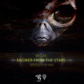 Answer from the Stars (Vagus Vip Remix) artwork