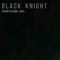 Black Knight - Aliens Vs Audio (AVA) lyrics