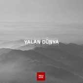 Yalan Dünya artwork