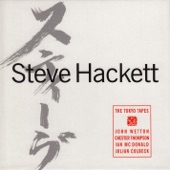 Steve Hackett - The Court of the Crimson King (Live)