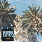 Summer Breeze artwork