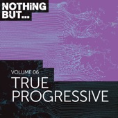 Nothing But... True Progressive, Vol. 06 artwork