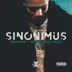 Sinonimus album cover