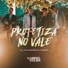 Profetiza no Vale (feat. Lucas Roque e Gabriel) - Single