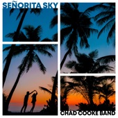 Señorita Sky artwork