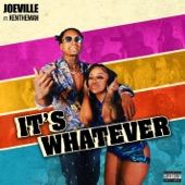 It's Whatever (feat. KenTheMan) artwork