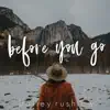 Before You Go (Acoustic) song lyrics