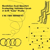 Use The Moment (feat. Rostislav Fraš, Antonio Faraò, Jeff Tain Watts & Josef Fečo) artwork