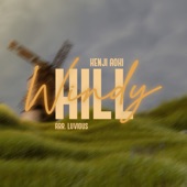 Windy Hill (feat. Luvious) artwork