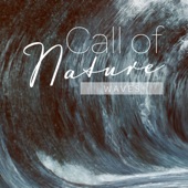 Mark Wayne - Call of Nature_Waves, Pt. 18