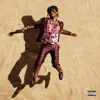 Sky Walker (feat. Travis Scott) song lyrics