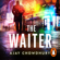 Ajay Chowdhury - The Waiter