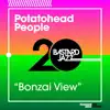 Bonzai View - Single album lyrics, reviews, download