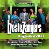 Beste Zangers Songfestival 2021 - EP artwork