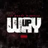 Way Up (feat. Skully) - Single album lyrics, reviews, download