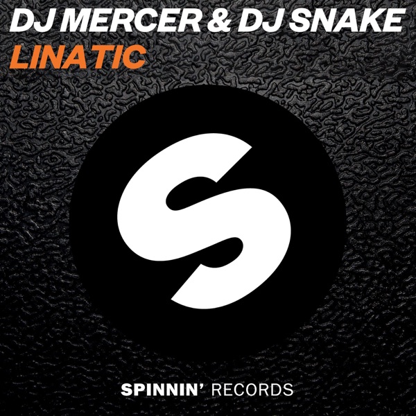 Lunatic - Single - Mercer & DJ Snake