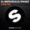 Lunatic - Mercer & DJ Snake lyrics