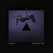 Trampoline (Stripped) artwork