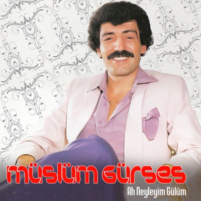 Yuce Dag Basinda Yanar Bir Isik Muslum Gurses Shazam