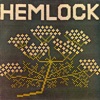 Hemlock