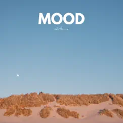 Mood - Violin Version - Single by ItsAMoney album reviews, ratings, credits