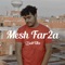 Mesh Far2a artwork
