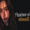 Privirea ei absenta (feat. Vizante) - Single