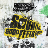 5 Seconds Of Summer - Fly Away Lyrics