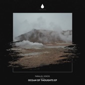 Ocean of Thoughts (Extended Mix) artwork