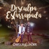 Desculpa Esfarrapada - Single