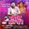 Pyaj Chhil Rahe Hai song lyrics