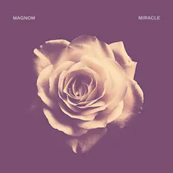 Miracle - Single by Magnom album reviews, ratings, credits