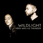Wildlight - Conversations Between (feat. The Polish Ambassador & Ayla Nereo)