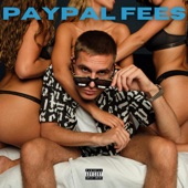 PayPal Fees artwork