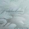 Birdwatching
