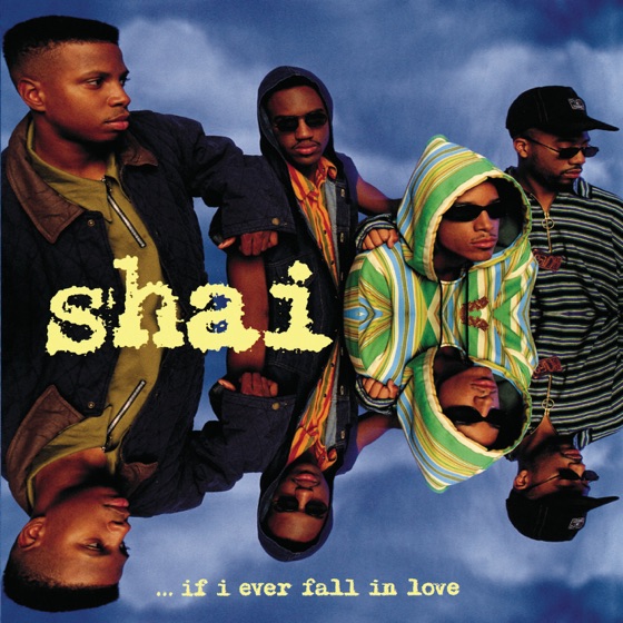 Cover artwork for Together Forever