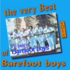 The very best of barefoot boys, vol. 8