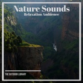 Sleeps With Nature - Babbling Brook