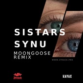 Synu (Moongoose Remix) artwork