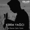 Gel Benim Gelin Yarim artwork